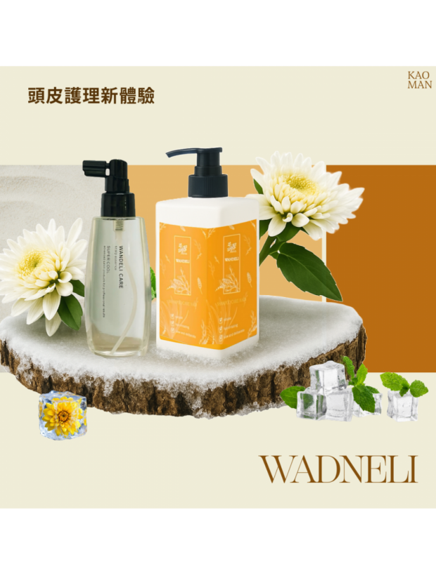 WANDELI 蠟菊優惠組