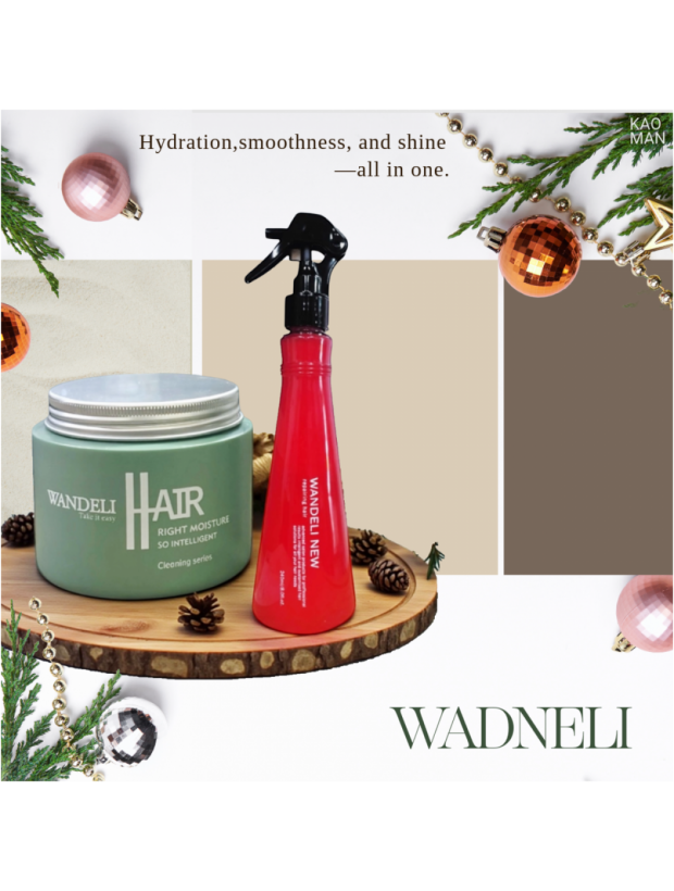 WANDELI 聖誕柔順優惠組