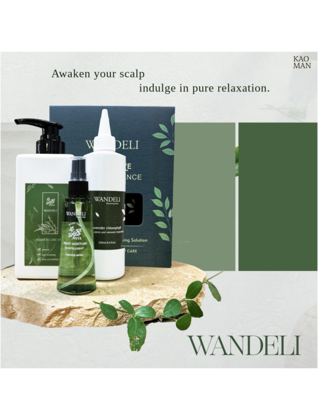 WANDELI 茶樹頭皮保養組