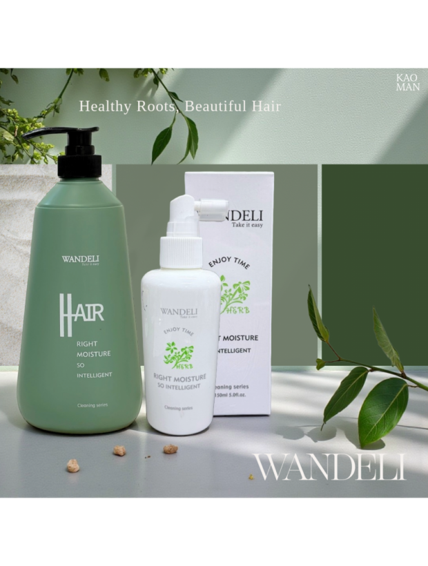WANDELI 植萃頭皮養護組