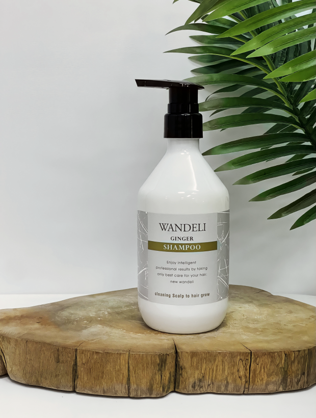 WANDELI 生薑洗髮精