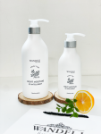 WANDELI檸檬綠茶洗髮精
